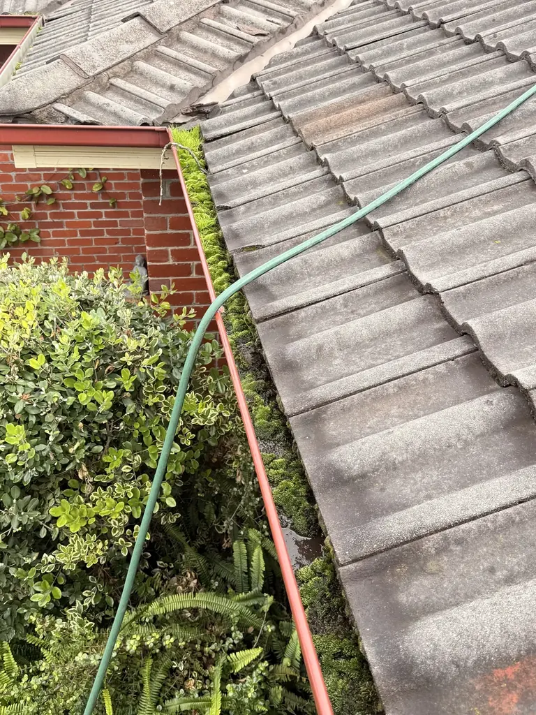 Gutters — Clayton before cleaning