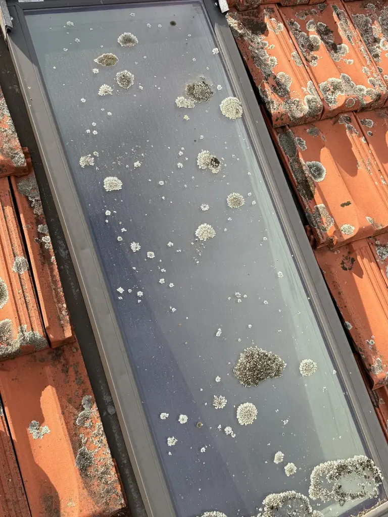 Roof window — Bentleigh before cleaning